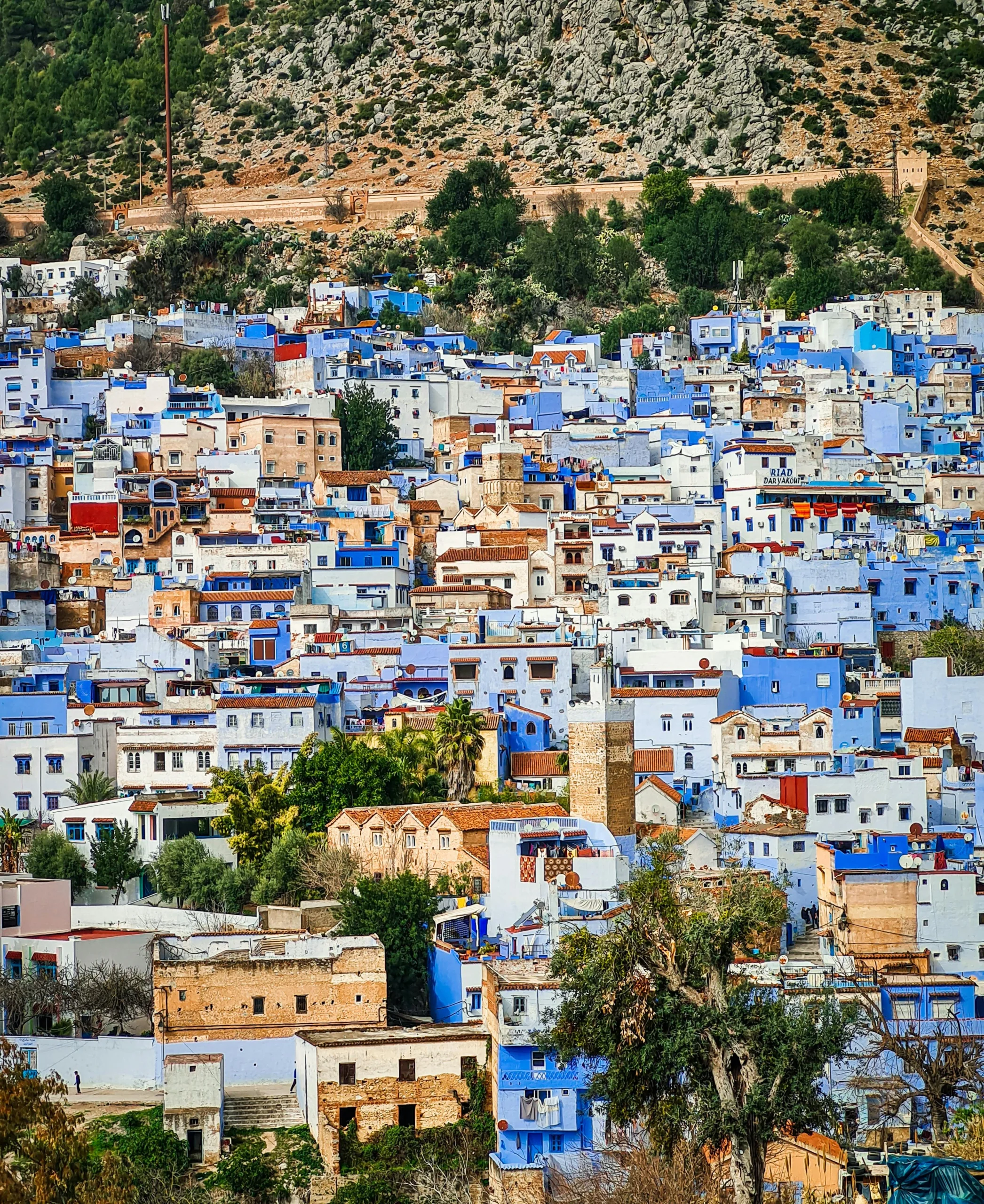 Calle empedrada de Chaouen con casas pintadas de azul y flores.