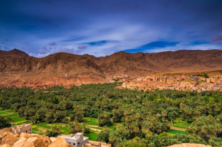 Senderismo en el Valle del Draa con kasbahs y palmerales