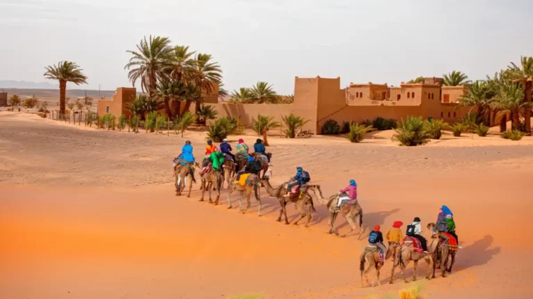 Camellos en fila al atardecer en el desierto de Merzouga